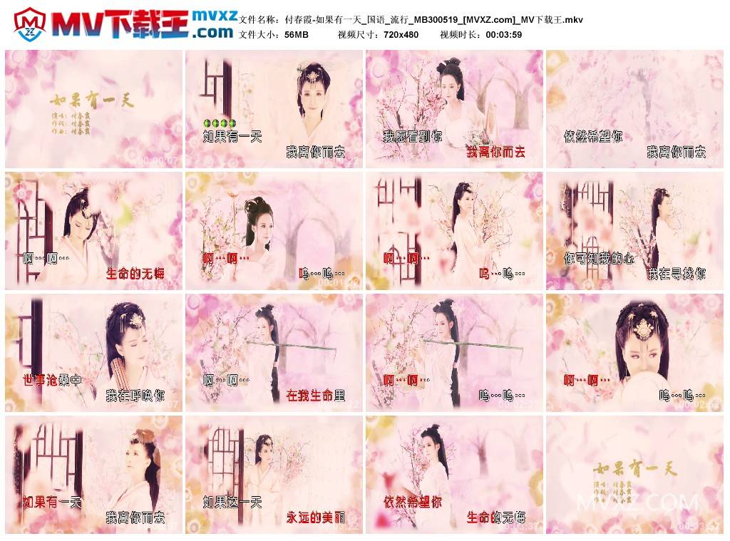 付春霞-如果有一天_国语_流行_MB300519